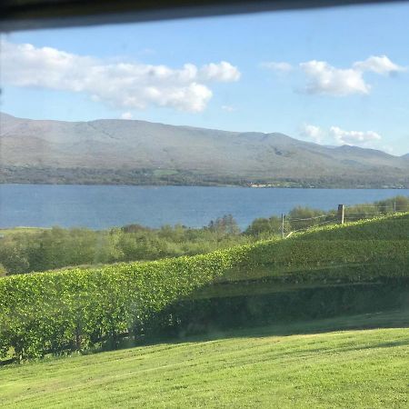 Apartamento Moriarty'S Kenmare Exterior foto